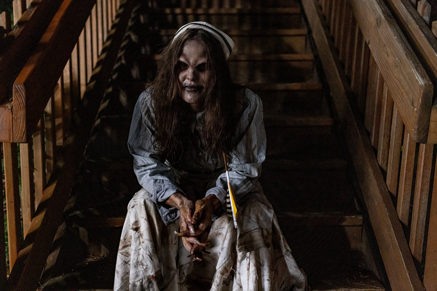 David Apuzzo, Photography - Behind the Scenes