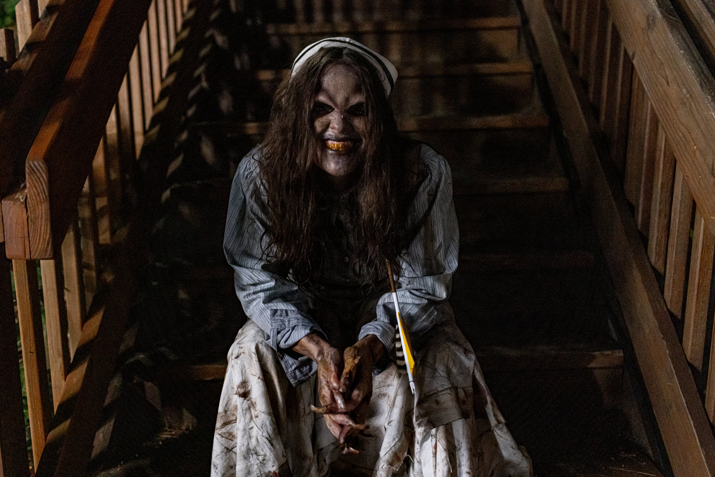 David Apuzzo, Photography - Behind the Scenes