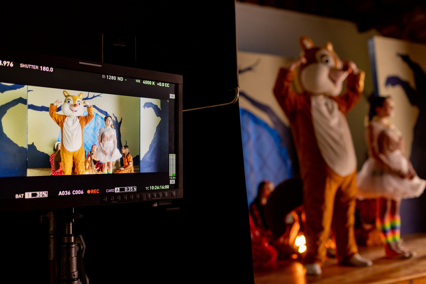 David Apuzzo, Photography - Behind the Scenes