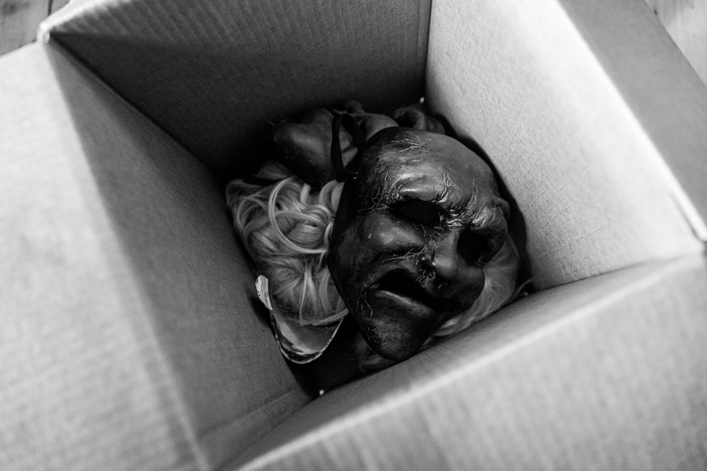 David Apuzzo, Photography - Behind the Scenes