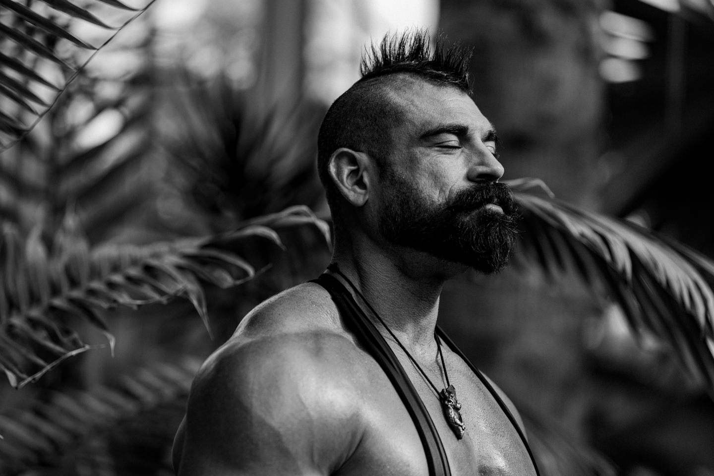 David Apuzzo, Photography - Behind the Scenes