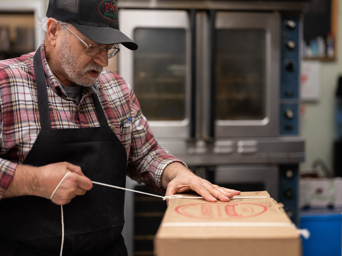 David Apuzzo, Photography - Collections