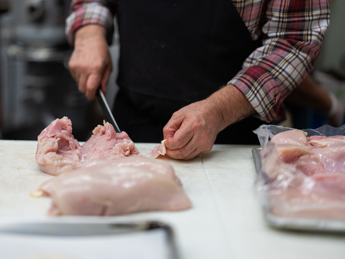 David Apuzzo, Photography - Collections