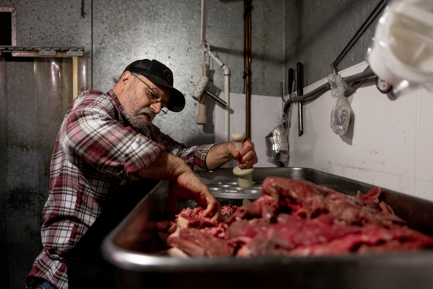 David Apuzzo, Photography - Collections